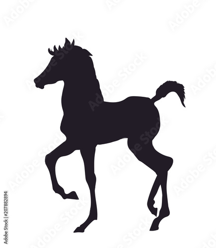 horse standing, silhouette, vector