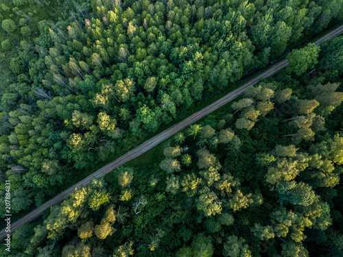 drone image. gravel road surrounded by pine forest from above