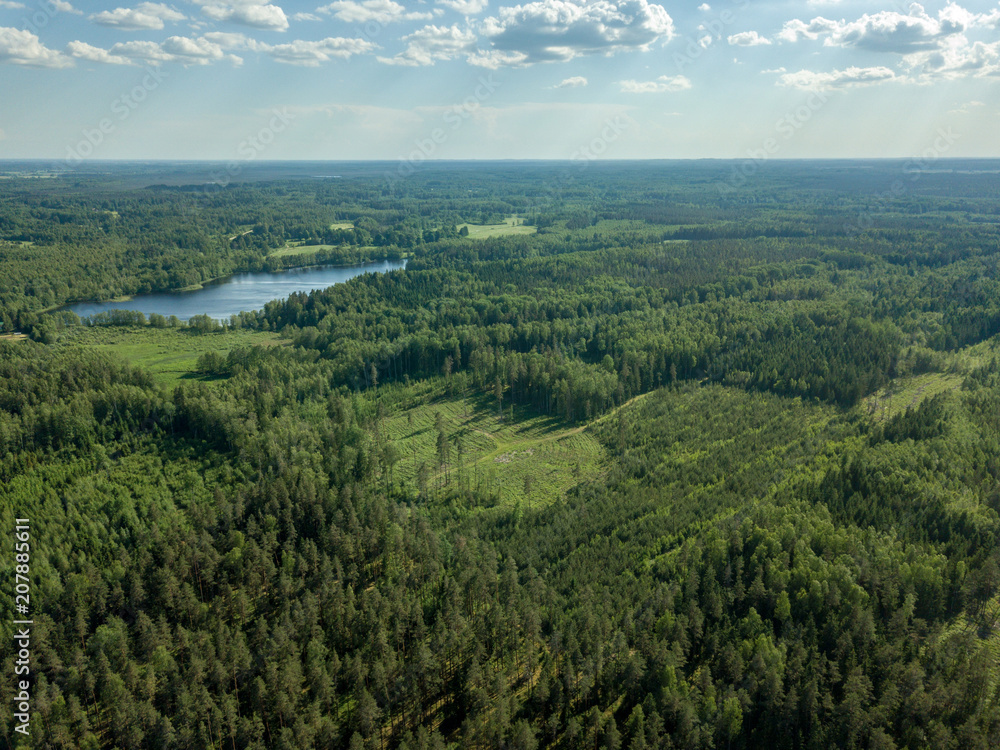 drone image. country lake surrounded by pine forest and fields from above