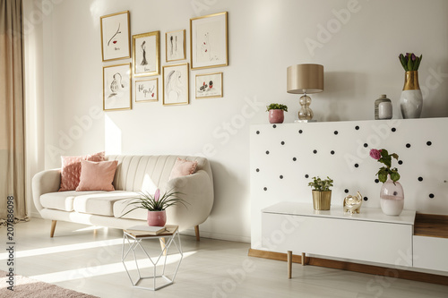 Side angle of a living room interior with white sofa  coffee table  cabinet  art collection and plants