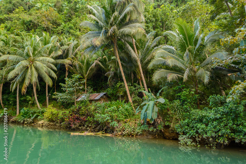 Jungle river in Philippines