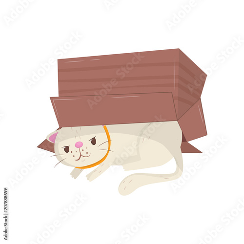 Funny cat hiding under cardboard box. Kitten with cunning muzzle expression. Domestic animal. Flat vector element for poster or sticker
