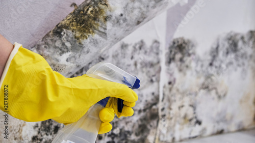 Photos Close-up Of A Shocked Woman Looking At Mold On Wall