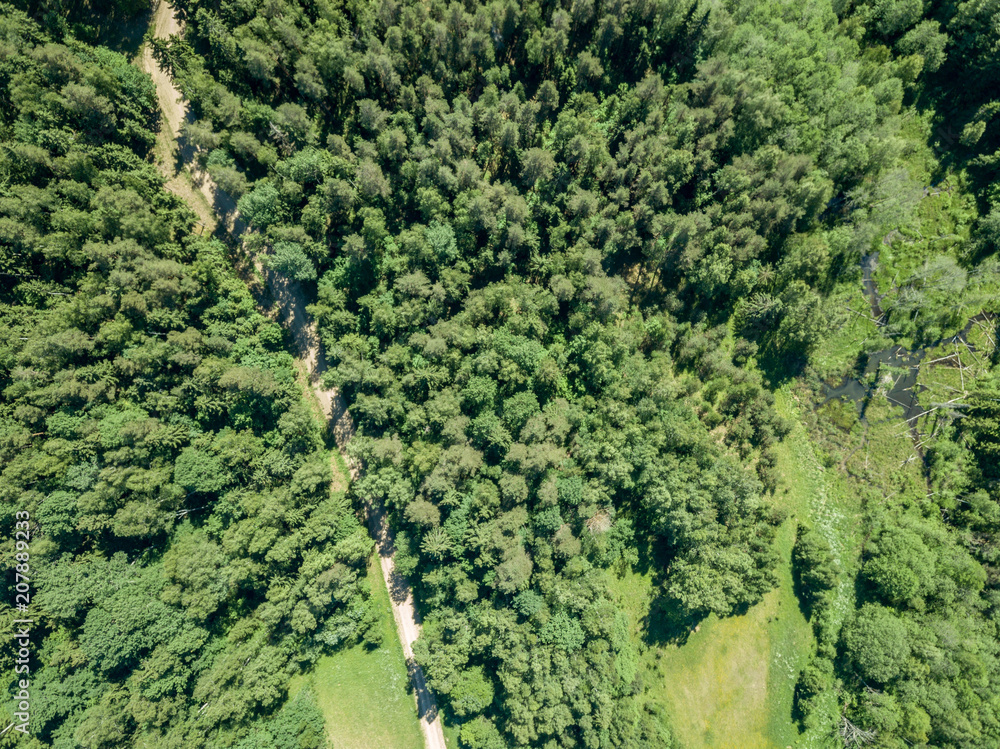 drone image. gravel road surrounded by pine forest from above drone image. gravel road surrounded by pine forest from above