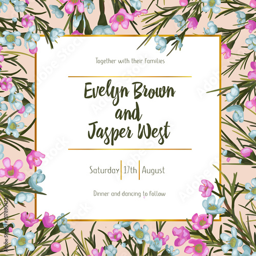 Wildflower Pink and blue wax flowers with green leaves and golden square frame in a watercolor style. could be used for background, texture, pattern