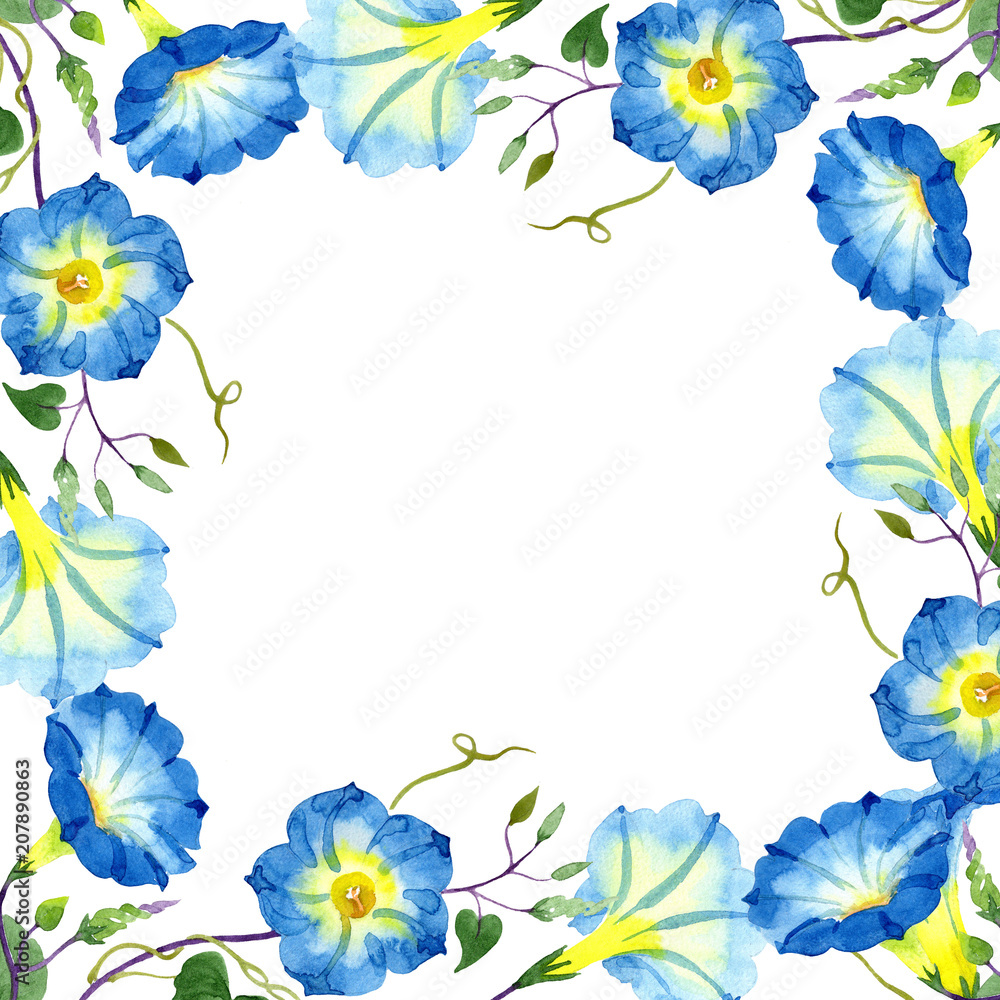 Obraz premium Ipomoea blue. Floral botanical flower. Frame border ornament square. Aquarelle wildflower for background, texture, wrapper pattern, frame or border.