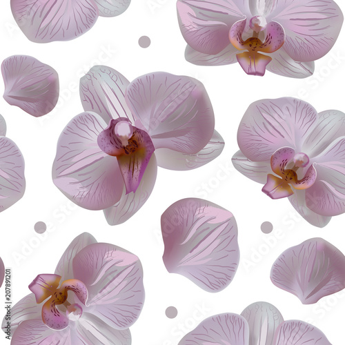Tender orchid floral seamless pattern with blooms, petals and dots isolated on white background. Orchid flower abstract nature illustration