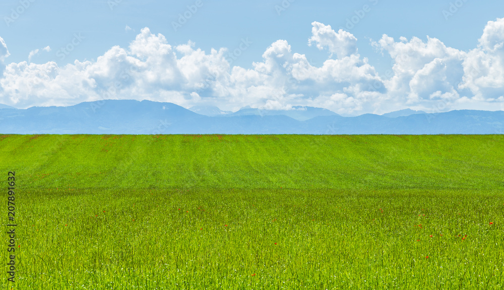 Obraz premium Charming landscape 3