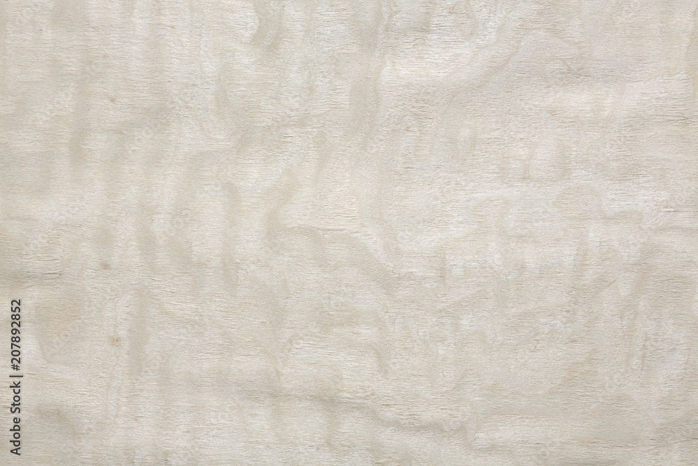 Fresh maple veneer texture in clean white colour. Fresh maple veneer texture in clean white colour.