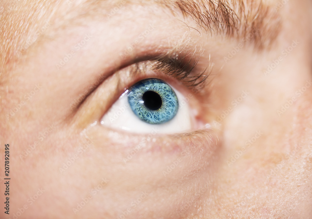 Obraz premium Image of man's beautiful insightful look eye close up.