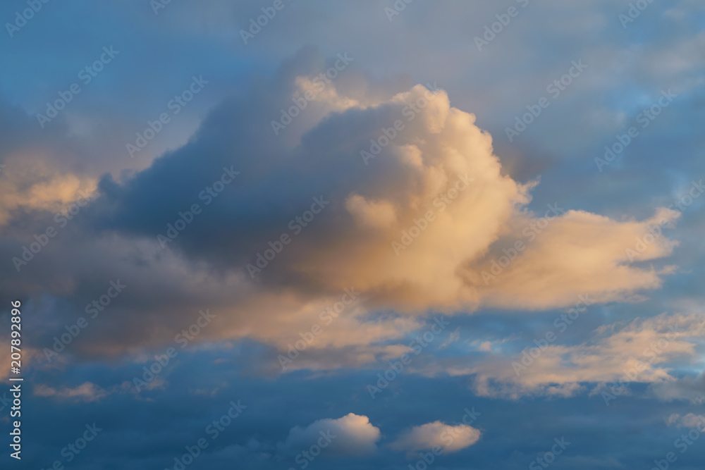 Large Cumulus cloud before the rain in the evening at sunset. The cloud is illuminated by the evening sunlight. Dangerous weather before rain or thunderstorm. Background, Wallpaper or backdrop.