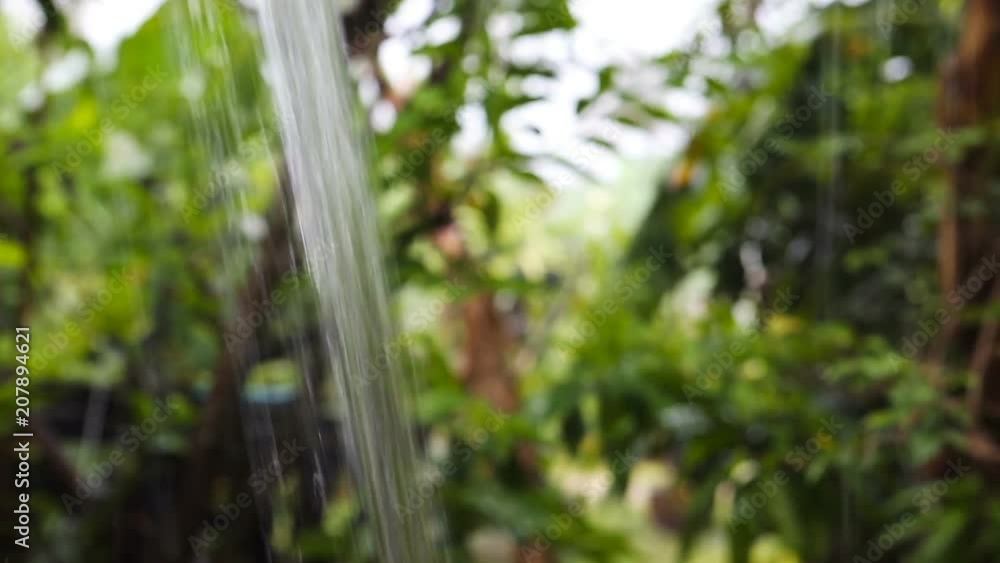 Tropical monsoon rain. Forest under the rain, rainwater close-up. Raindrops on the jungle. Tropical monsoon rain. Forest under the rain, rainwater close-up. Raindrops on the jungle.