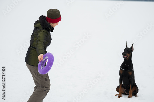 Training and playing with dogs Dobermans on a snowy field in winter photo