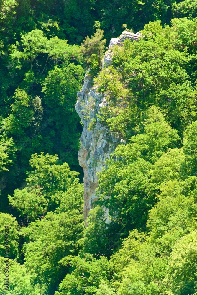 Fototapeta premium A mountain range not far from the city of Sochi. High rocks and a cliff beneath them. Eagle rocks. Green forest below.