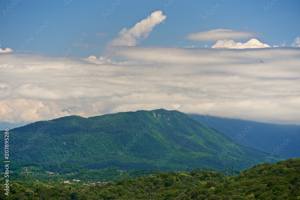 Panorama of a large valley between mountains covered with forest. Sunny day. Beautiful cumulus clouds over the tops of mountains against a blue sky.