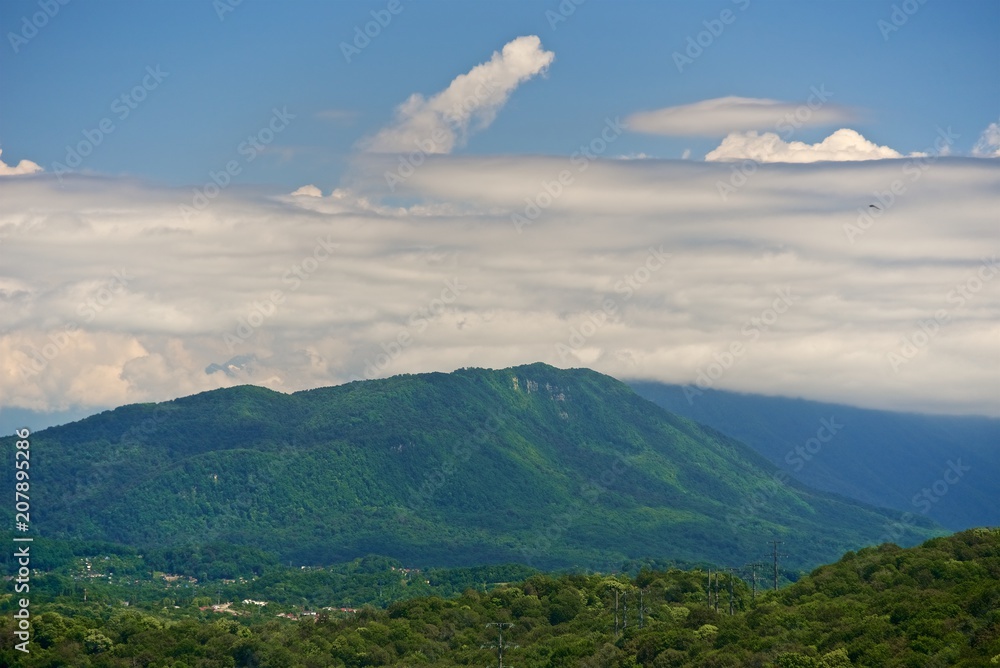 Panorama of a large valley between mountains covered with forest. Sunny day. Beautiful cumulus clouds over the tops of mountains against a blue sky. Panorama of a large valley between mountains covered with forest. Sunny day. Beautiful cumulus clouds over the tops of mountains against a blue sky.