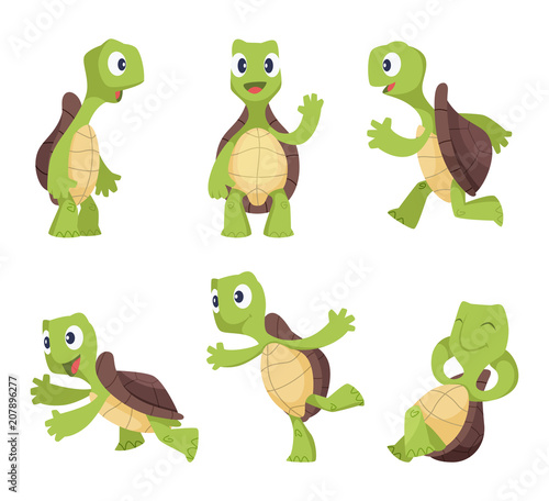 Funny cartoon characters of turtles in various poses