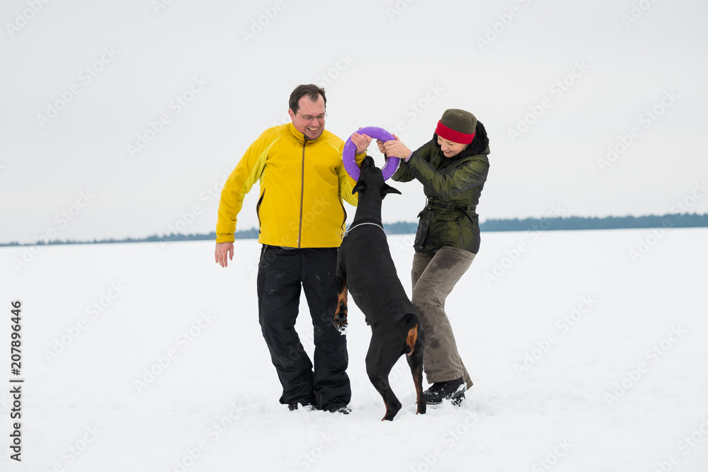 Training and playing with dogs Dobermans on a snowy field in winter