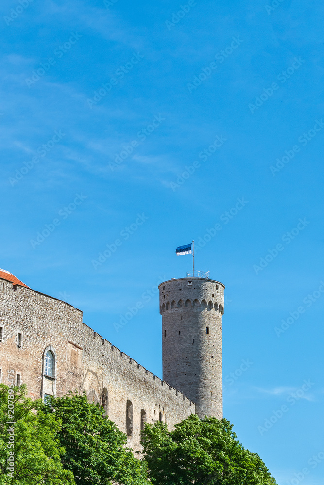Castle and Tower, Tallinn