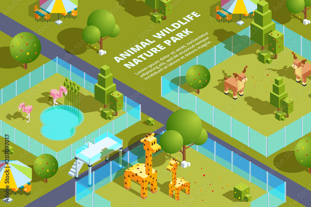 Landscape of zoo with various animals. Stylized vector isometric illustrations