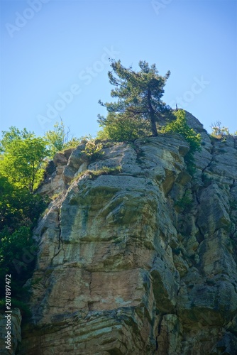 A mountain range not far from the city of Sochi. High rocks and a cliff beneath them. Eagle rocks. Green forest below.