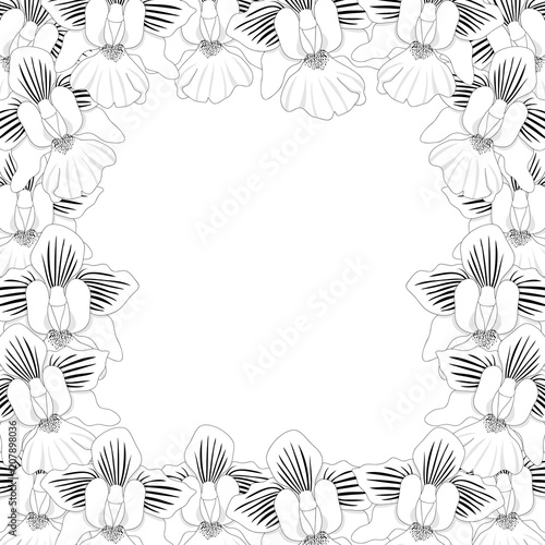 Fototapeta Naklejka Na Ścianę i Meble -  Vanda Miss Joaquim Orchid Outline Border