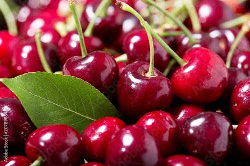 fresh cherries with leaves