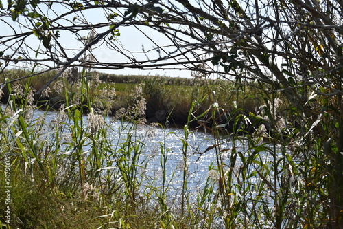 wetlands in texas