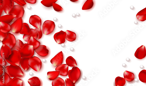 Red rose petals and beads on white background.Happy Valentines Day. Vector holiday illustration. Festive decoration. Wedding background.