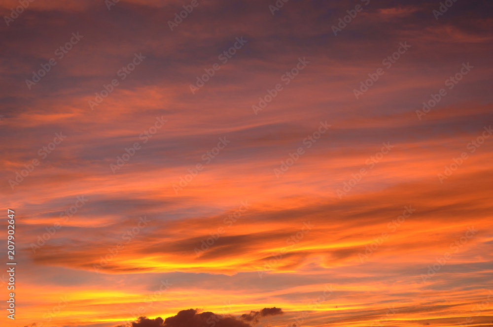 Fototapeta premium 夕景