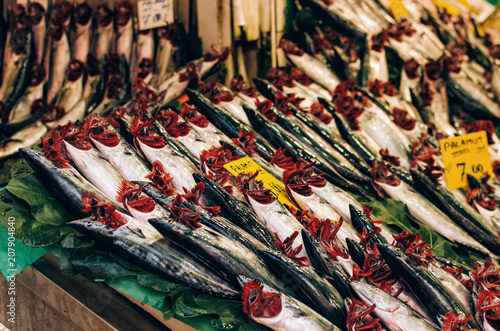 Fresh-caught sea fish in the fish market, Istanbul