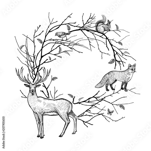 Decorative frame with tree branches, forest animals and bird.
