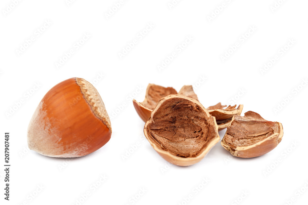 Hazelnut on a isolated on white background. Hazelnut on a isolated on white background.