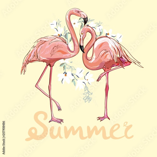 Pink flamingo vector illustration
