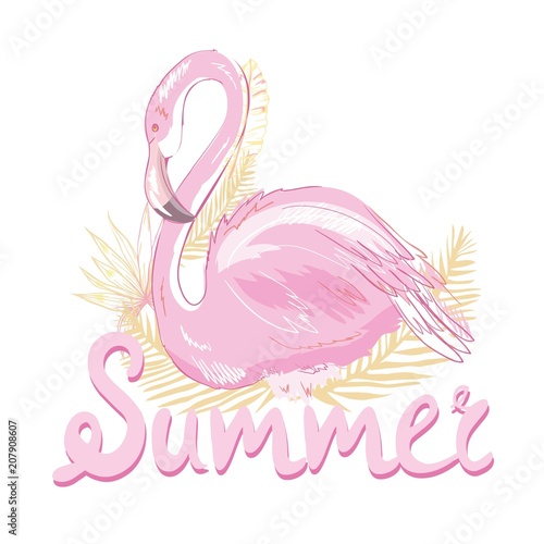 Pink flamingo vector illustration