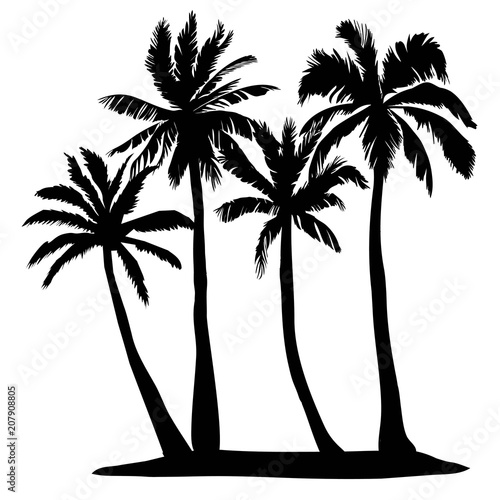 Black vector single palm tree silhouette icon isolated