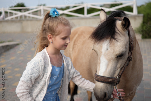 little girl cleans and combs her pony and saddles him