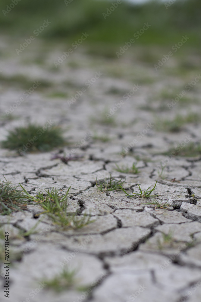 Obraz premium secheresse