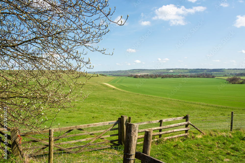Scenic view beside the walking trail to Ivinghoe Beacon seen in early Spring Scenic view beside the walking trail to Ivinghoe Beacon seen in early Spring
