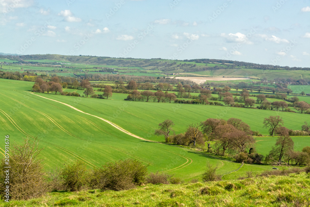 Plantation fields and farms on hilly landscape seen from the hilltop near Ivinghoe Beacon