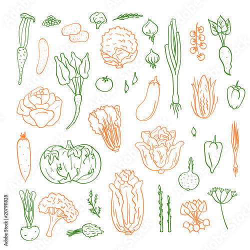 Vector hand drawn doodle vegetables icons set illustration