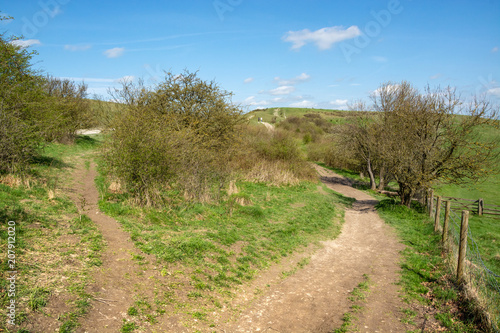 Walking trail acroos the hills or pass to Ivinghoe Beacon seen in early Spring - 3