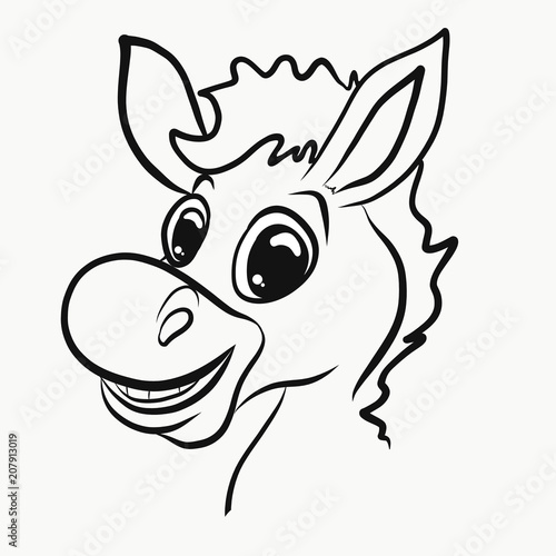Young cheerful donkey  head  profile