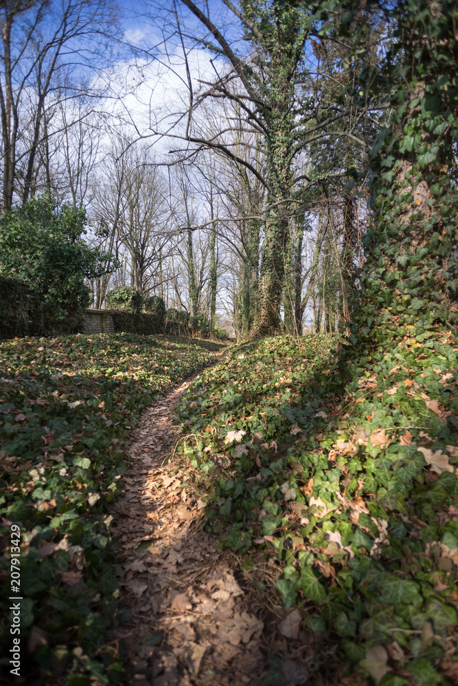 Abandoned Cemetery, Prague, Czech Republic. Abandoned Cemetery, Prague, Czech Republic.
