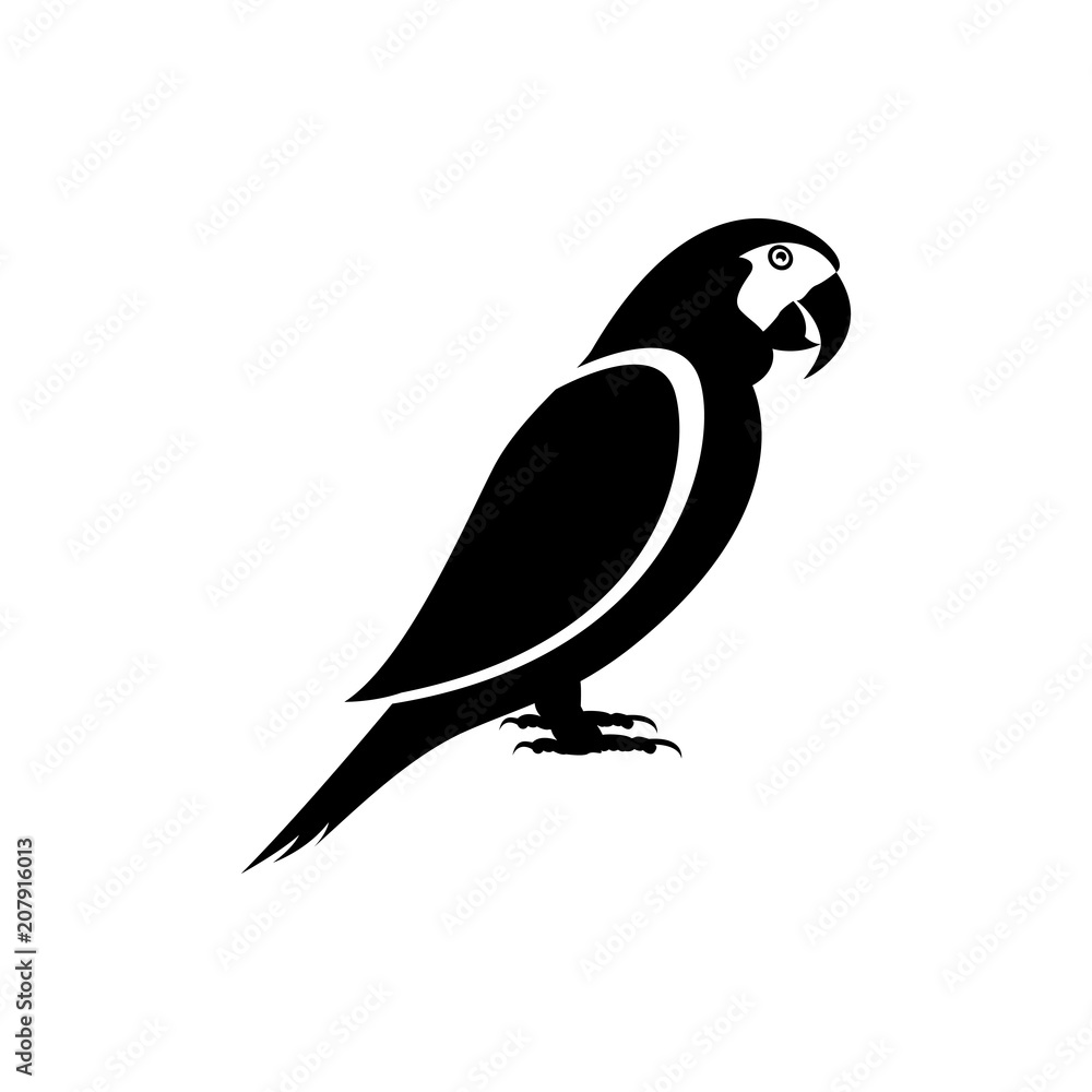 Obraz premium parrot 