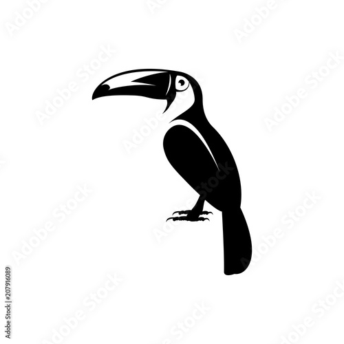 toucan 