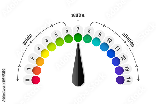 pH value scale meter for acid and alkaline solutions, acid-base balance infographic