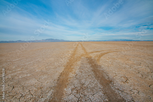 Canvas Print Divergent Tire Tracks in Dry Lake Bed
