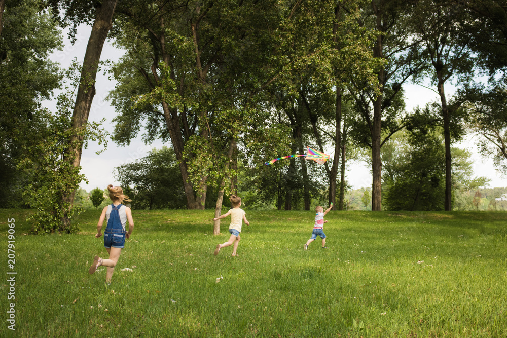 Small kids flying kite in nature. Small kids flying kite in nature.