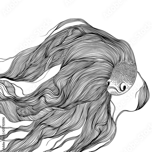 Fighting fish swimming, black and white line art ink drawing